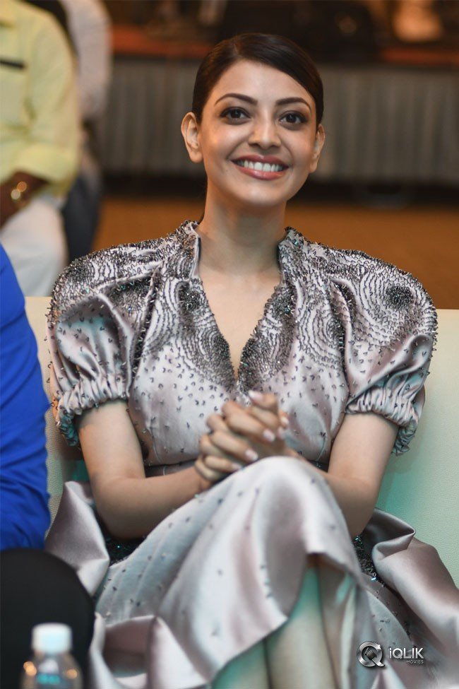 MLA-Movie-Pre-Releae-Event-Photos